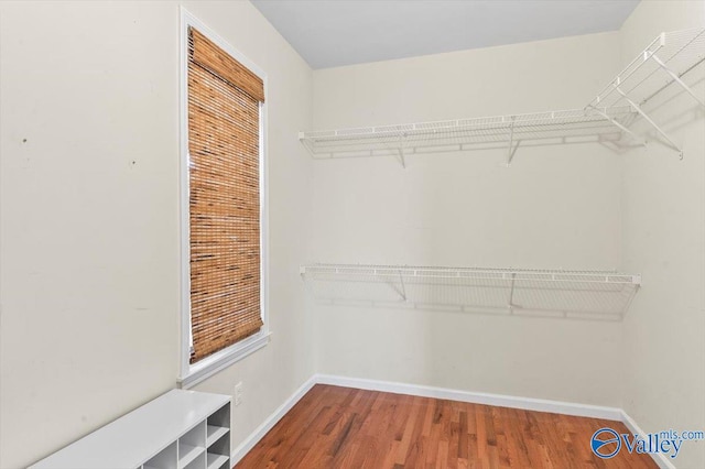 walk in closet with hardwood / wood-style floors