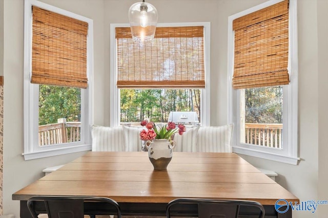 view of dining area