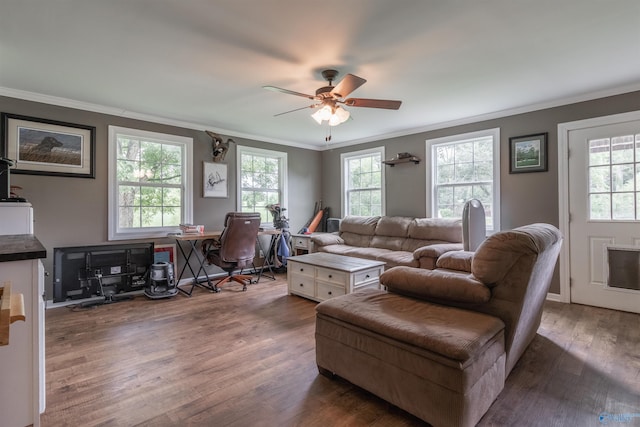 living area featuring ornamental molding, a wealth of natural light, dark wood-style flooring, and a ceiling fan