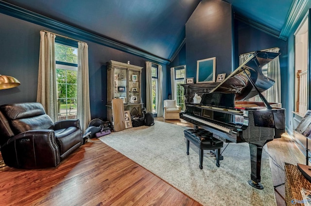 misc room featuring crown molding, high vaulted ceiling, and dark hardwood / wood-style flooring