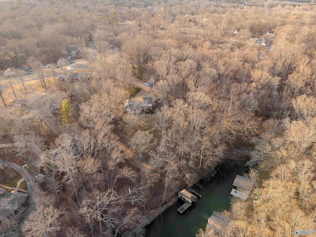 aerial view featuring a wooded view