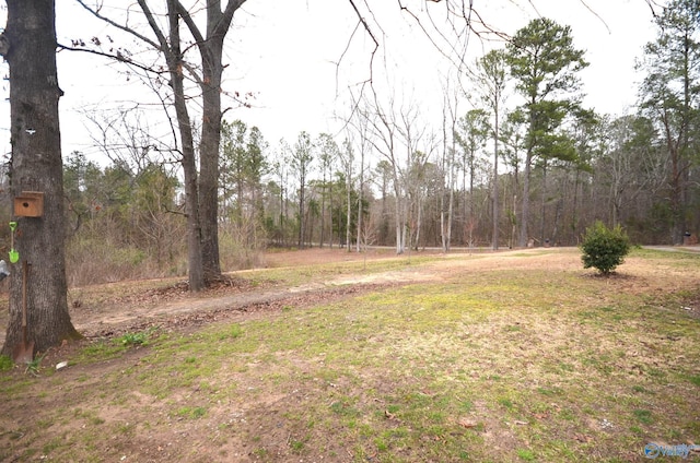 view of yard featuring a view of trees