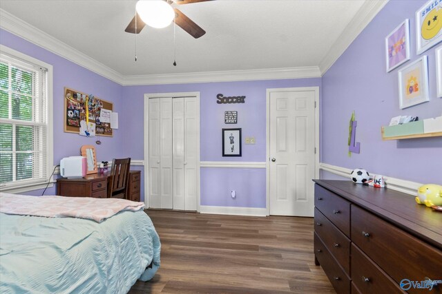 bedroom with dark wood-type flooring, ceiling fan, and crown molding