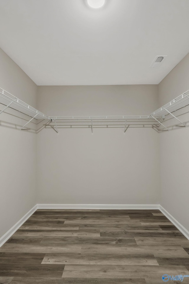 spacious closet with dark wood-style flooring