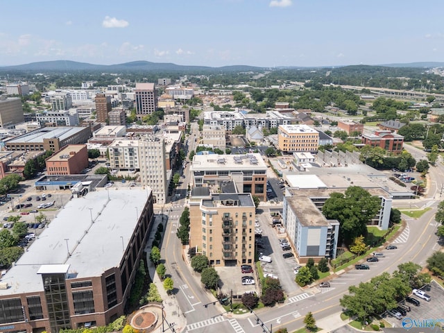 301 NE Holmes Ave Unit 404, Huntsville, AL 35801 - view of urban area with a mountainous background
