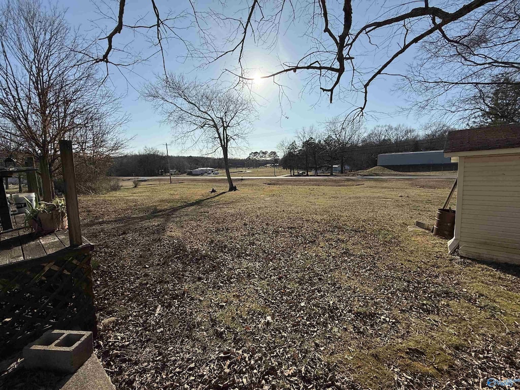 524 Long Hollow Rd, Scottsboro, AL 35768 - view of yard