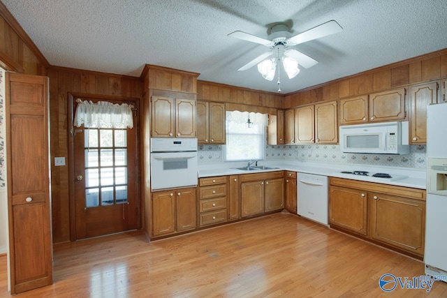 kitchen featuring decorative backsplash, white appliances, light hardwood / wood-style flooring, and plenty of natural light