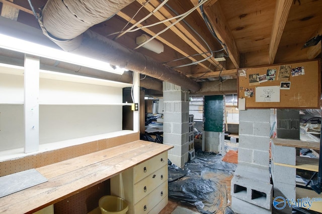 basement with a workshop area