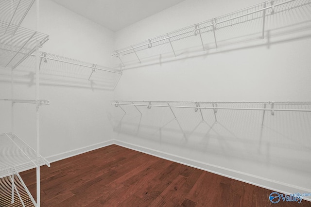 spacious closet featuring hardwood / wood-style floors