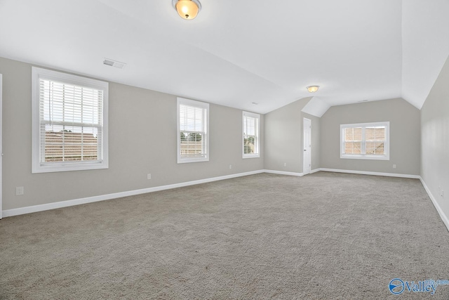 interior space with lofted ceiling, a wealth of natural light, and carpet