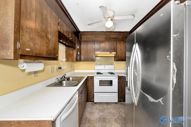 kitchen with a sink, white appliances, under cabinet range hood, light countertops, and a ceiling fan
