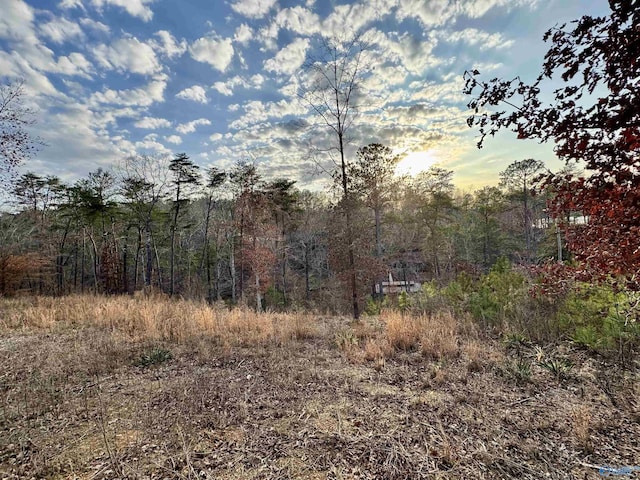 LOT4 County Road 51, Bremen AL, 35022 land for sale