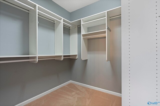 walk in closet with carpet floors