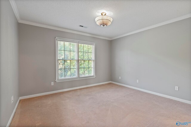 carpeted spare room with ornamental molding and a textured ceiling