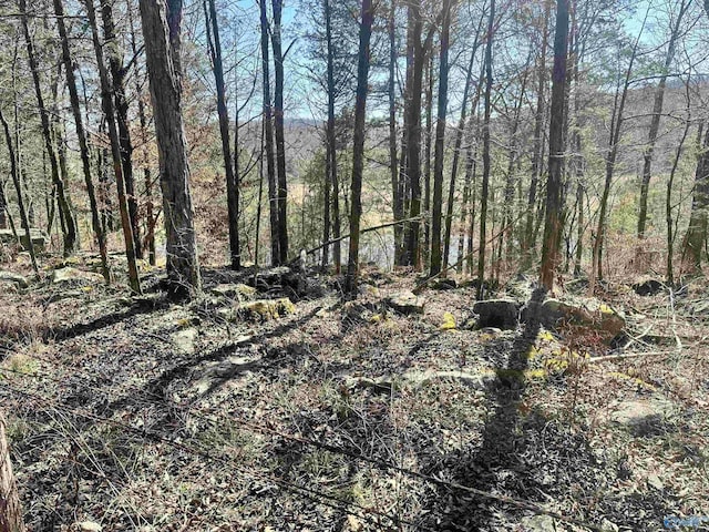 21ACRES Cathedral Caverns Hwy, Woodville AL, 35776 land for sale