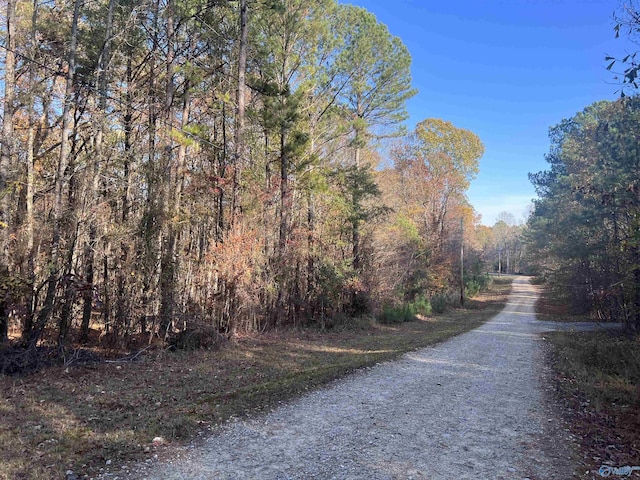 1060 County Road 137, Cedar Bluff, AL 35959