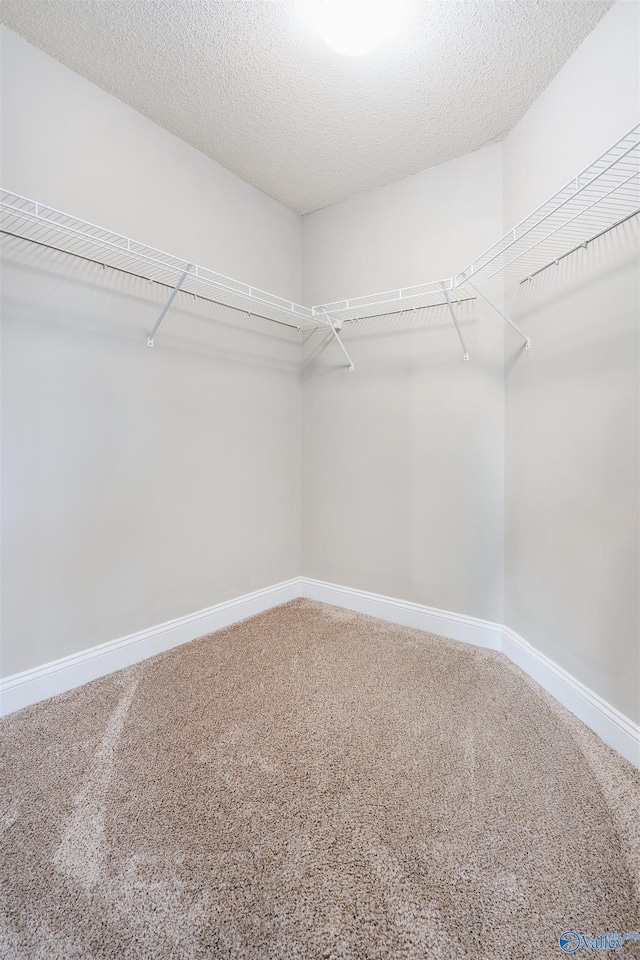 spacious closet with carpet flooring