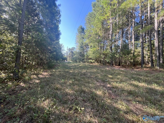 Listing photo 3 for TRACT1 Williams Rd, Athens AL 35614