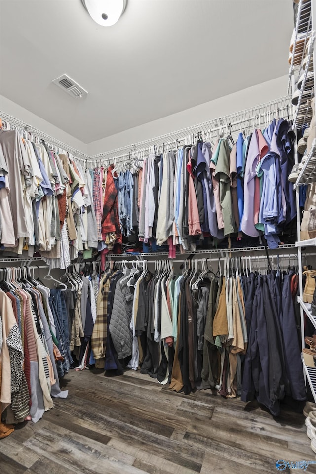3559 County Road 1570, Baileyton, AL 35019 - spacious closet featuring visible vents and wood finished floors