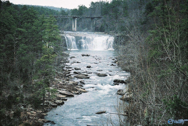 view of water feature featuring a wooded view