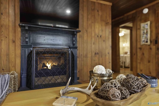 details featuring a warm lit fireplace and wooden walls