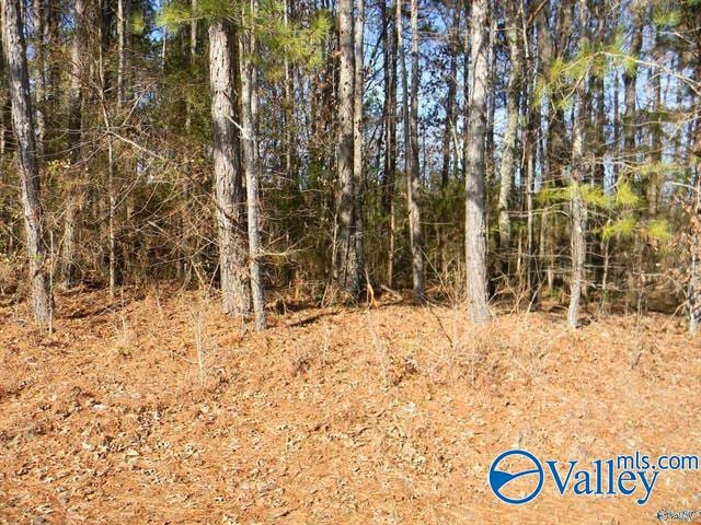 TRACT1 County Road 41, Gaylesville AL, 35983 land for sale