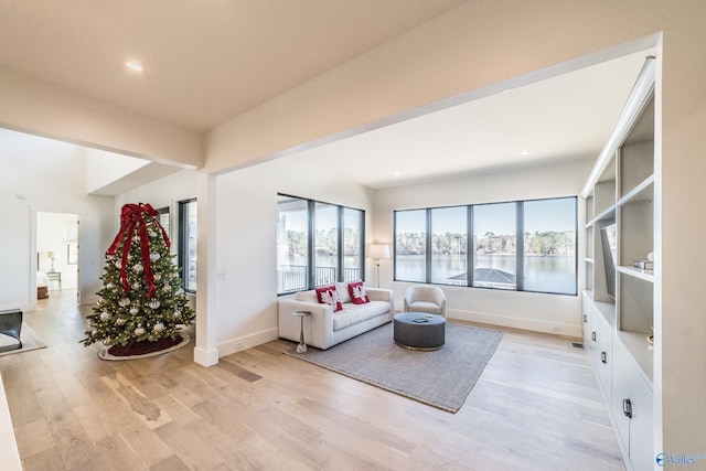 living room with light wood-type flooring