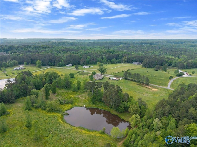 bird's eye view featuring a water view, a view of trees, and a rural view