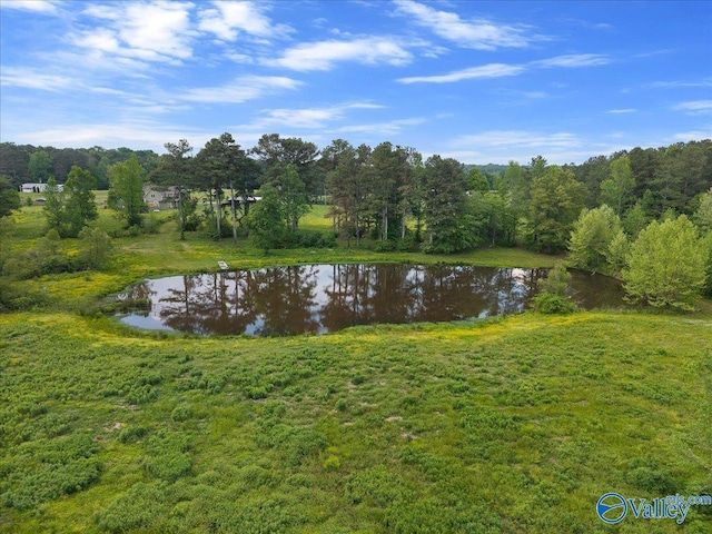 view of water feature