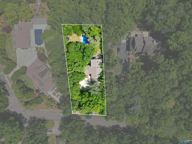 bird's eye view