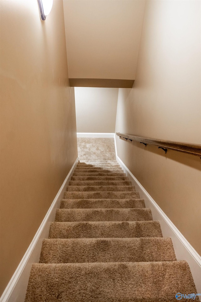 stairway featuring carpet floors