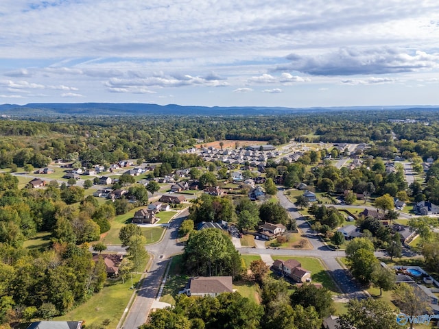 bird's eye view