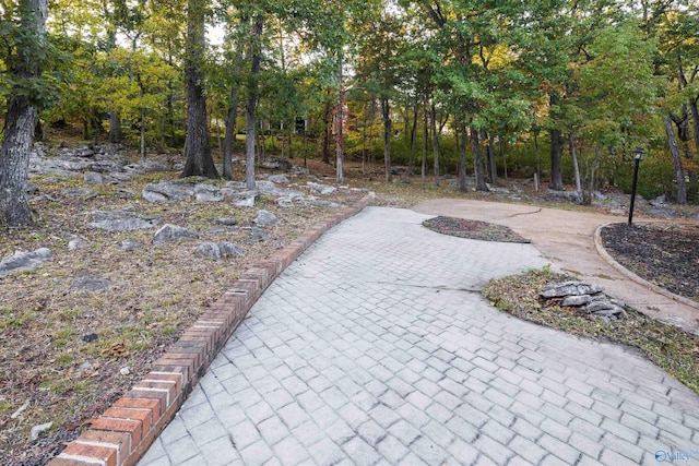 view of patio / terrace featuring driveway