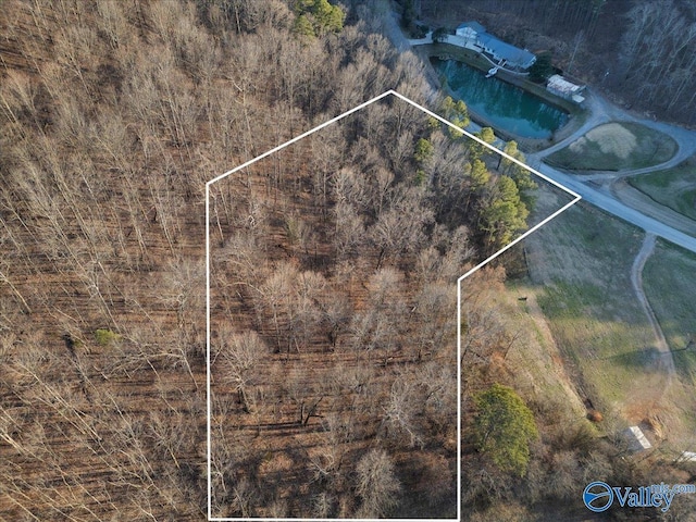 LOT10 Rocky Hollow Rd Unit 3, Blountsville AL, 35031 land for sale