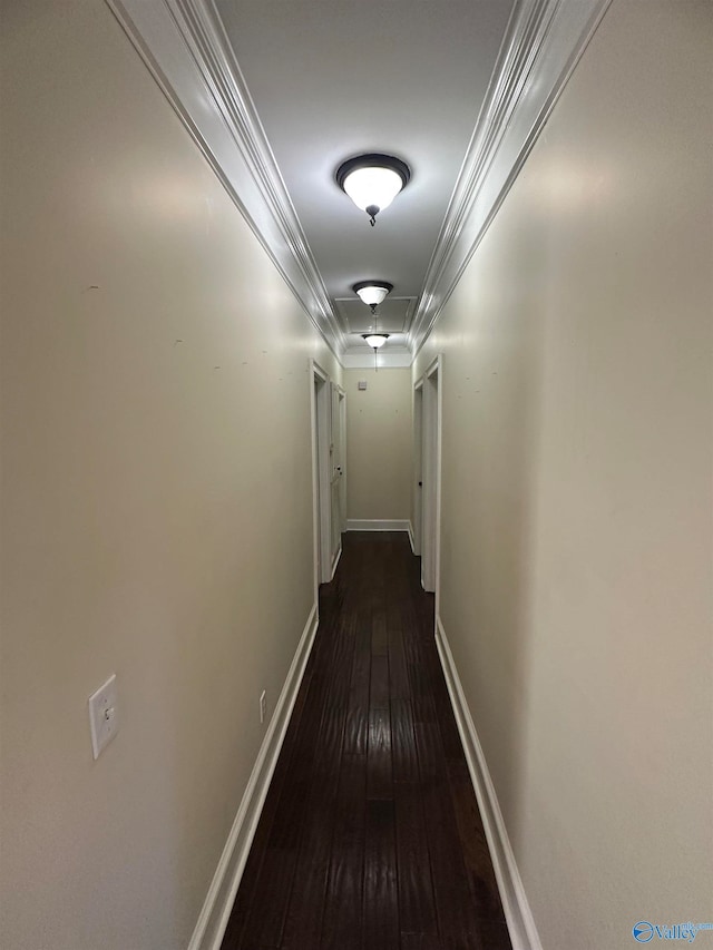 hall with crown molding and dark hardwood / wood-style flooring