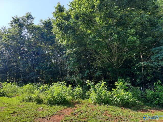 LOT120 Lookout Mountain Dr, Scottsboro AL, 35769 land for sale