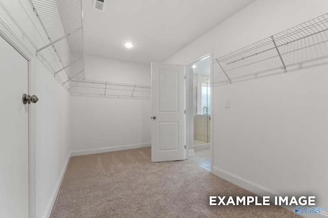 walk in closet with carpet flooring