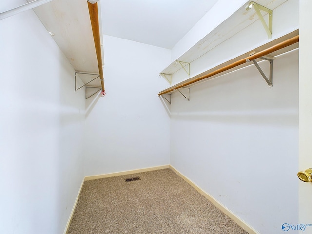 walk in closet featuring carpet