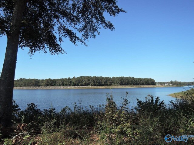 LOT31 County Road 1462, Cullman AL, 35055 land for sale