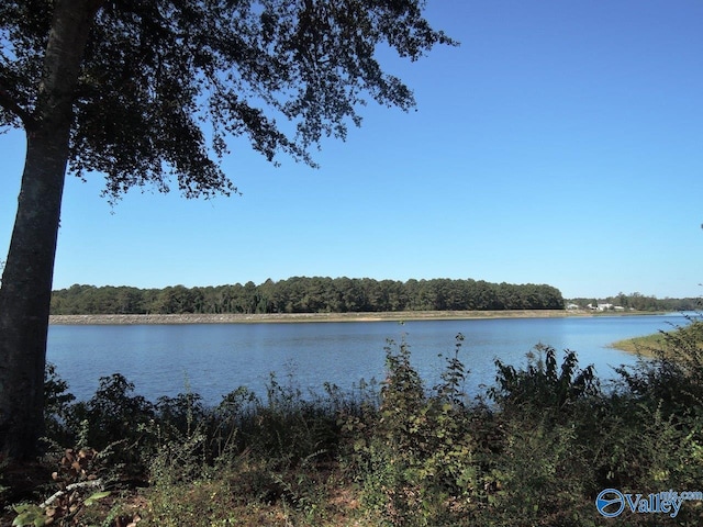 LOT31 County Road 1462, Cullman, AL 35055