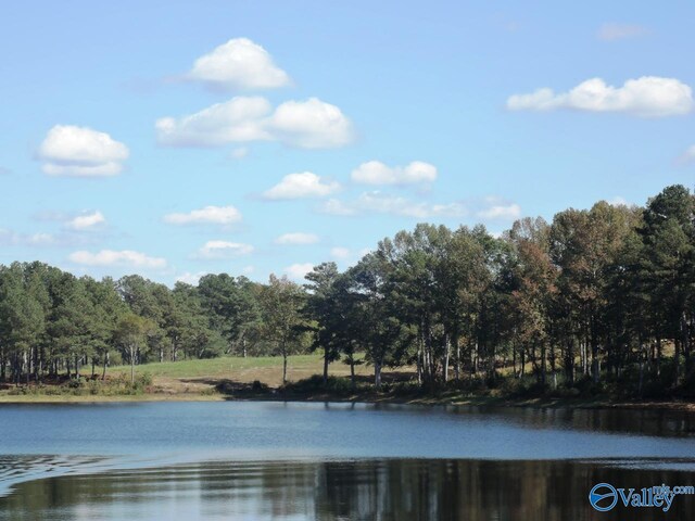 Listing photo 2 for LOT31 County Road 1462, Cullman AL 35055