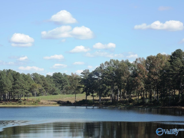 Listing photo 2 for LOT31 County Road 1462, Cullman AL 35055