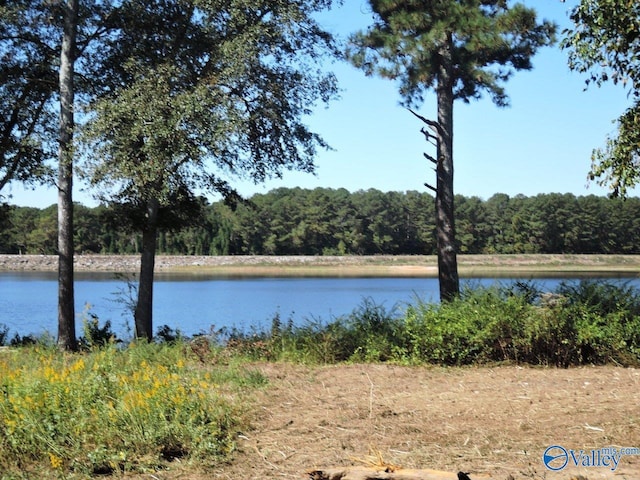 Listing photo 3 for LOT31 County Road 1462, Cullman AL 35055