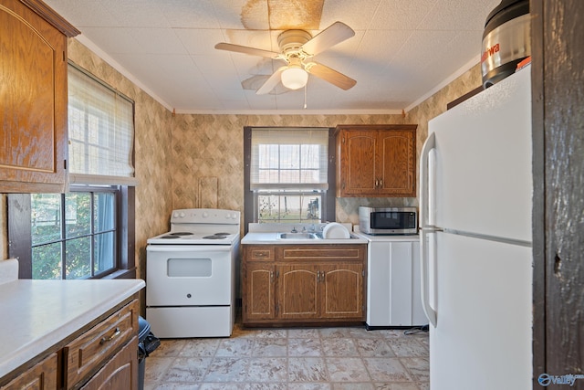 kitchen featuring ceiling fan, crown molding, white appliances, and sink