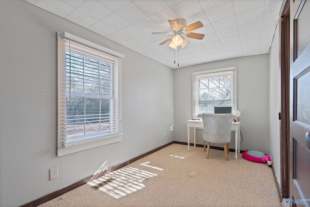 office space featuring carpet and ceiling fan