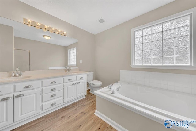 bathroom featuring wood finished floors, a sink, toilet, and double vanity