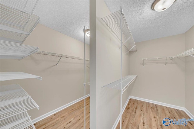 spacious closet featuring wood finished floors