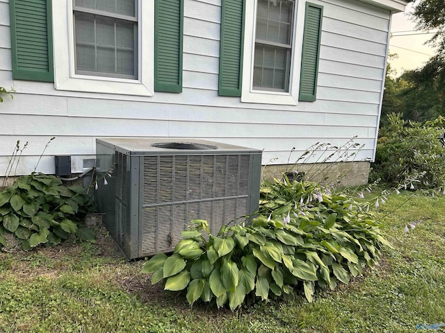 details with central AC unit