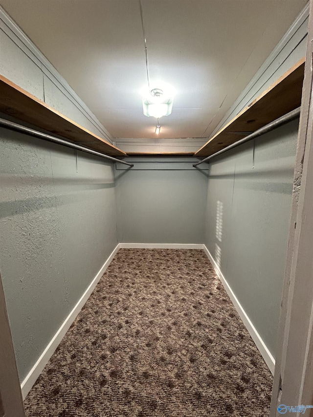 walk in closet with vaulted ceiling and carpet flooring