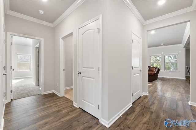 hallway featuring ornamental molding and dark hardwood / wood-style floors